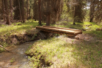 Foot bridge at Clearwater Lake's inflowing stream on its northern shore, which originates high on Ptarmigan Point.  The stream is the east fork of the Clearwater River though it is not named on the map.  In the Lolo National Forest north of Seeley Lake Montana.