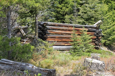Collapsed miner's cabin on a side road in Coloma (ghost town)