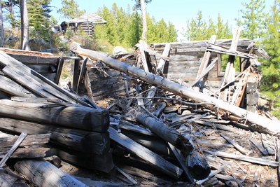 Collapsed miner's cabin on a side road in Coloma (ghost town)