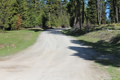 Road (from the road sign posted on a tree) leading to Coloma ghost town in the Garnet range in western Montana