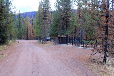 The bathroom and parking lot for the Morrell Falls trailhead survived the fire.  There are some burned trees nearby.