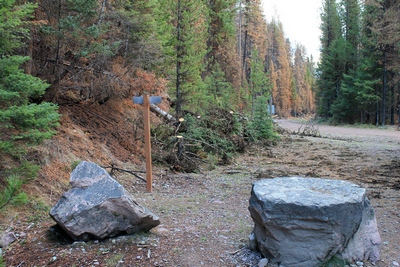 The Morrell Falls Trailhead looking toward the entrance road to the parking lot.