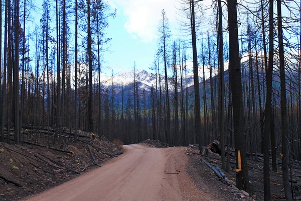View of the Swan Range along FR 4353 traveling north from Seeley Lake, Montana.  As a result of the fire, the distant views are no longer obscured by trees.