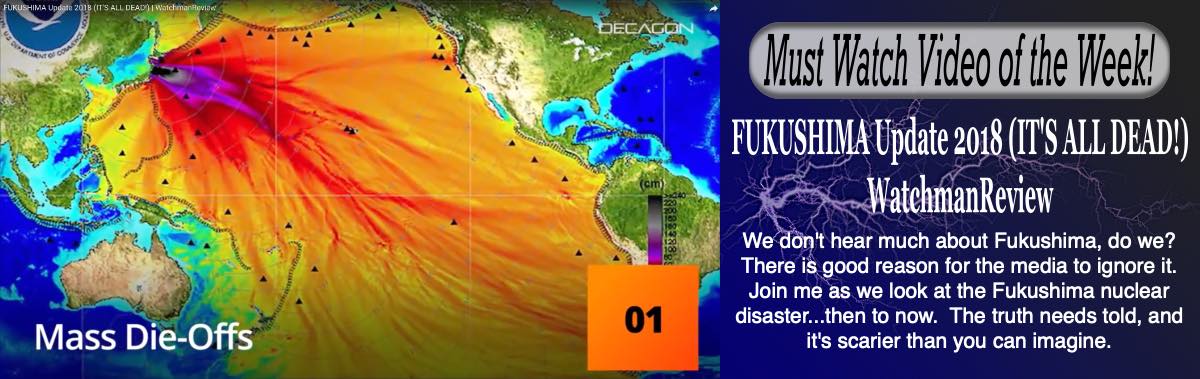 Fukushima Update 2018 (IT'S ALL DEAD) WatchmanReview - We don't hear much about Fukushima.  There is good reason for the media to ignore it.  The truth needs to be told and it is scarier than you can imaging. - Published to youtube Oct. 5, 2018