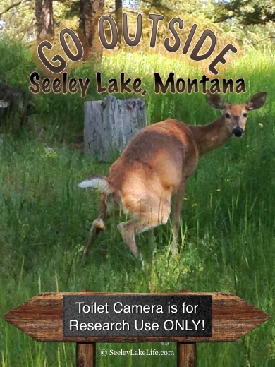 Go Outside - Toilet Camera is for Research Use Only! - Seeley Lake, MT