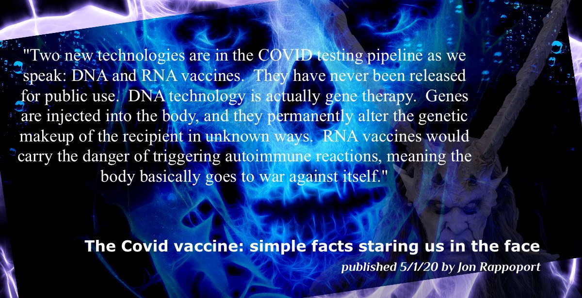 'The COVID vaccine: simple facts staring us in the face' published May 1, 2020 by Jon Rappoport at nomorefakenews.com