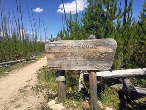 Scapegoat Wilderness Sign Helena National Forest