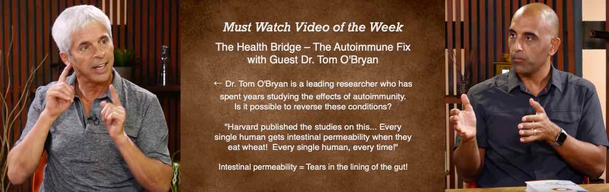 The Health Bridge - The Autoimmune Fix with Guest Dr. Tom O'Bryan. Every single human gets intestinal permeability when they eat wheat! Every single human, every time!