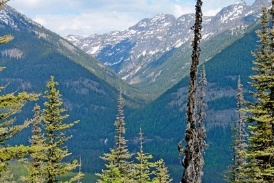 View of Morrell Falls and the Grizzly Basin Trail route heading northeast between the slopes of Matt mountain on the left and Crescent mountain on the right as seen from FR 4343 on 5/29/17 near Seeley Lake Montana.