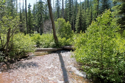 View of Falls Creek heading downstream from the Monture Creek Trail wooden foot bridge.