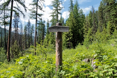 Sign of a fork in the trail.  The Monture Creek Trail splits just after the Falls Creek bridge.