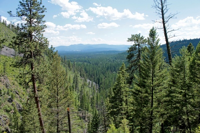 Looking south from the Falls Creek Trail from about the 4800' elevation, a view of the Ovando valley can be seen in the distance. 