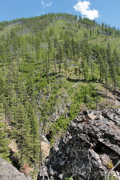 Looking across Falls Creek from the Falls Creek Trail (16) and up the side of the 6500' mountain to the east.