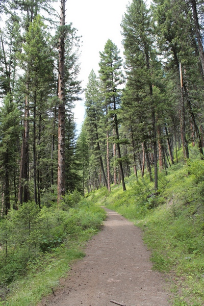 Hiking along about a half mile into the Monture Creek Trail in Powell County western Montana north of Ovando