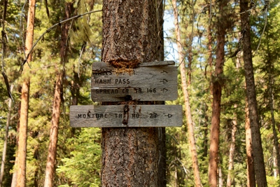 Old wood signs posted on a tree near the beginning of the Monture Creek Trail in Powell County western Montana north of Ovando