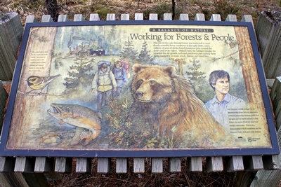 Working for Forests and People at the Seth Diamond Interpretive Trail Trailhead about 1 mile north of the Seeley Lake Campground on Boyscout Road