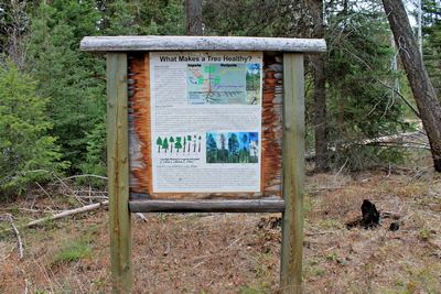 On the Seth Diamond Interpretive Trail