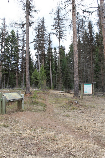 The Seth Diamond Interpretive Trail Trailhead about 1 mile north of the Seeley Lake Campground on Boyscout Road