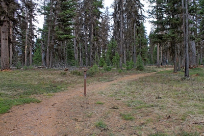 The Seth Diamond Interpretive Trail Trailhead