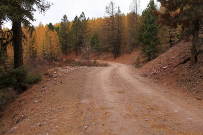 Looking west at an unburned area along FR4361 as it appeared on 10/18/17.  The picture to the right shows what it looks like (burned) when you turn the camera around.