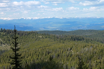View  from the top of Union Peak (in the Garnet range in western Montana) looking north-northeast to the Swan Mountain Range in the distance.